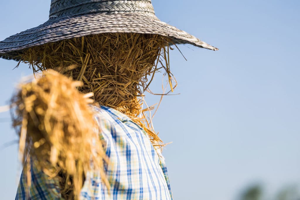 Être un homme de paille: quels sont les risques? Codex Avocats Lausanne